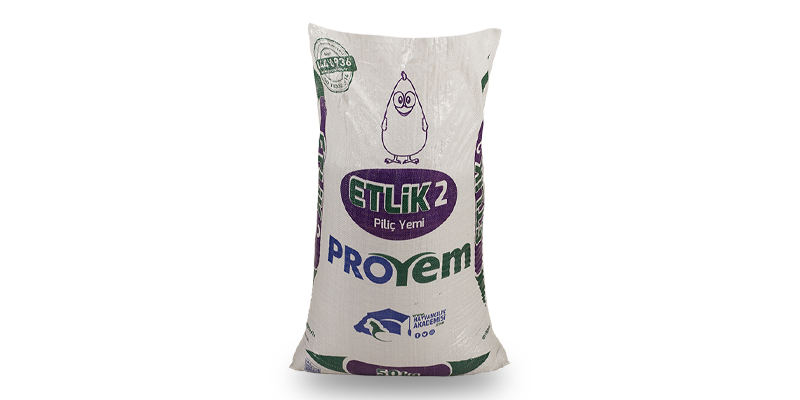 Broiler-2 (pullet)