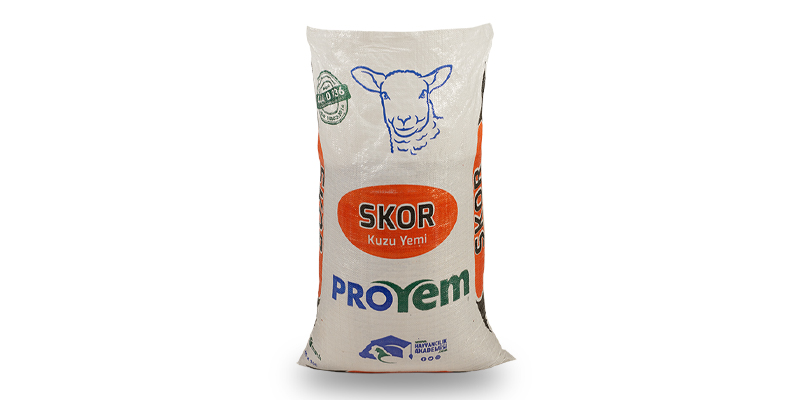 Skor